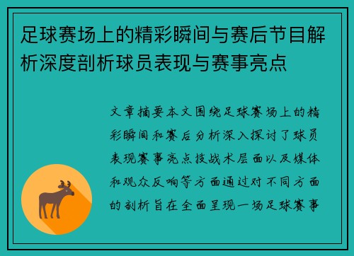 足球赛场上的精彩瞬间与赛后节目解析深度剖析球员表现与赛事亮点