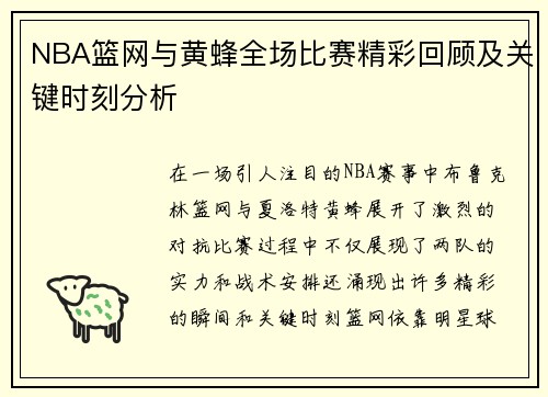 NBA篮网与黄蜂全场比赛精彩回顾及关键时刻分析