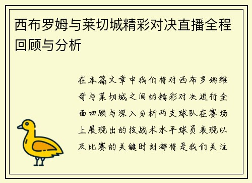西布罗姆与莱切城精彩对决直播全程回顾与分析