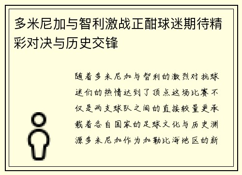 多米尼加与智利激战正酣球迷期待精彩对决与历史交锋